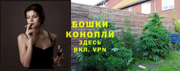 винт Майский