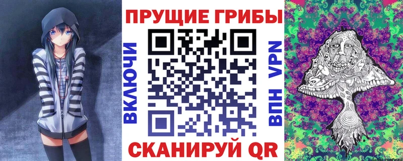 shop какой сайт  Стародуб  Галлюциногенные грибы прущие грибы  kraken рабочий сайт 